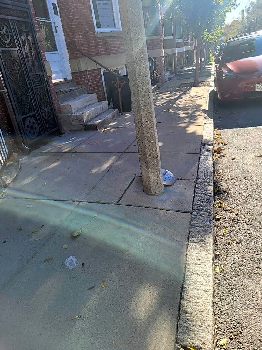 Image submitted with report