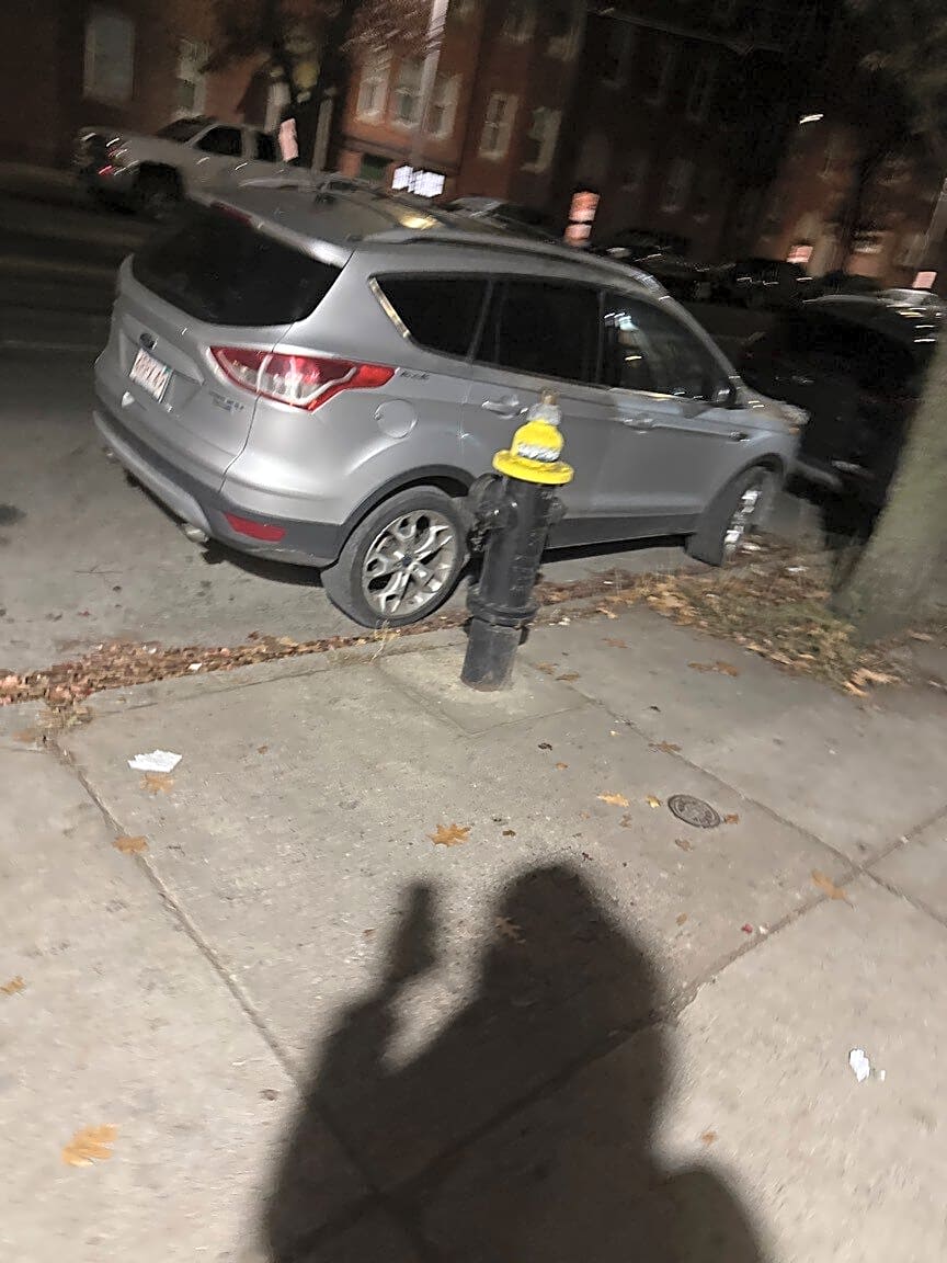 Image submitted with report