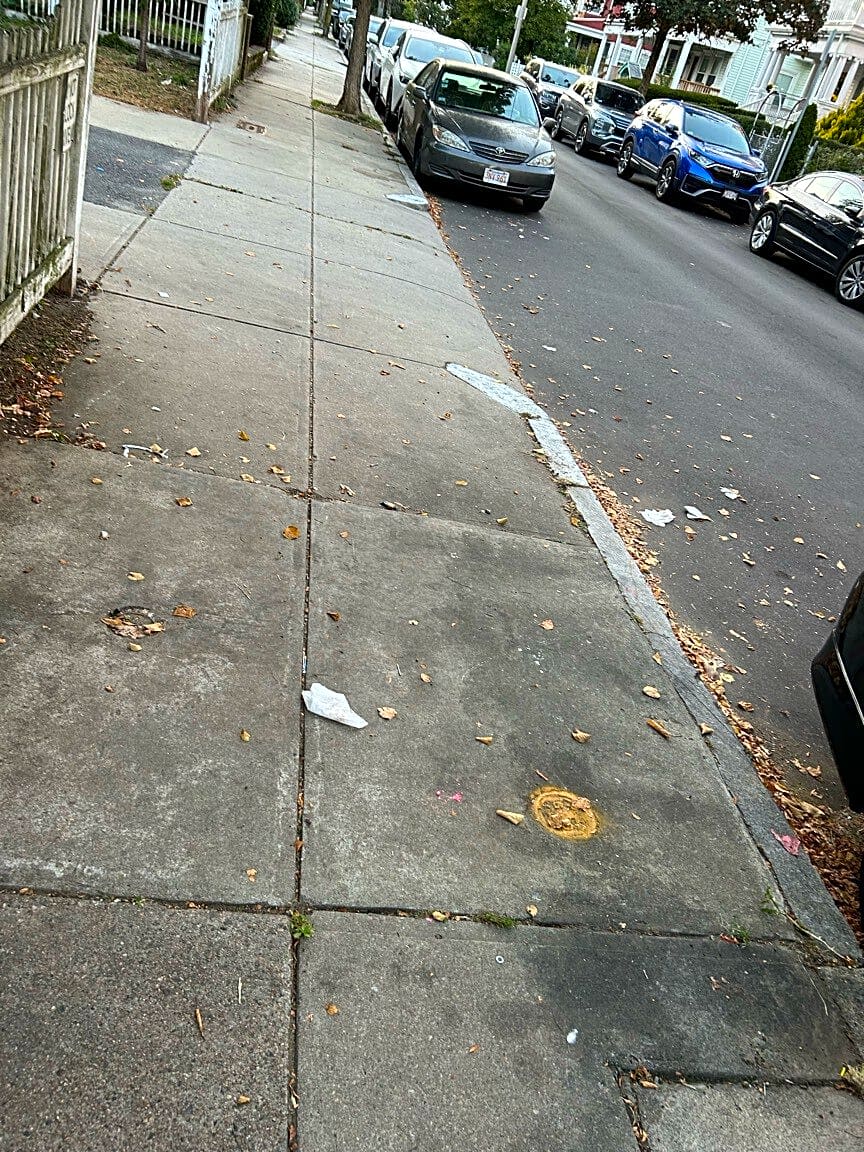 Image submitted with report