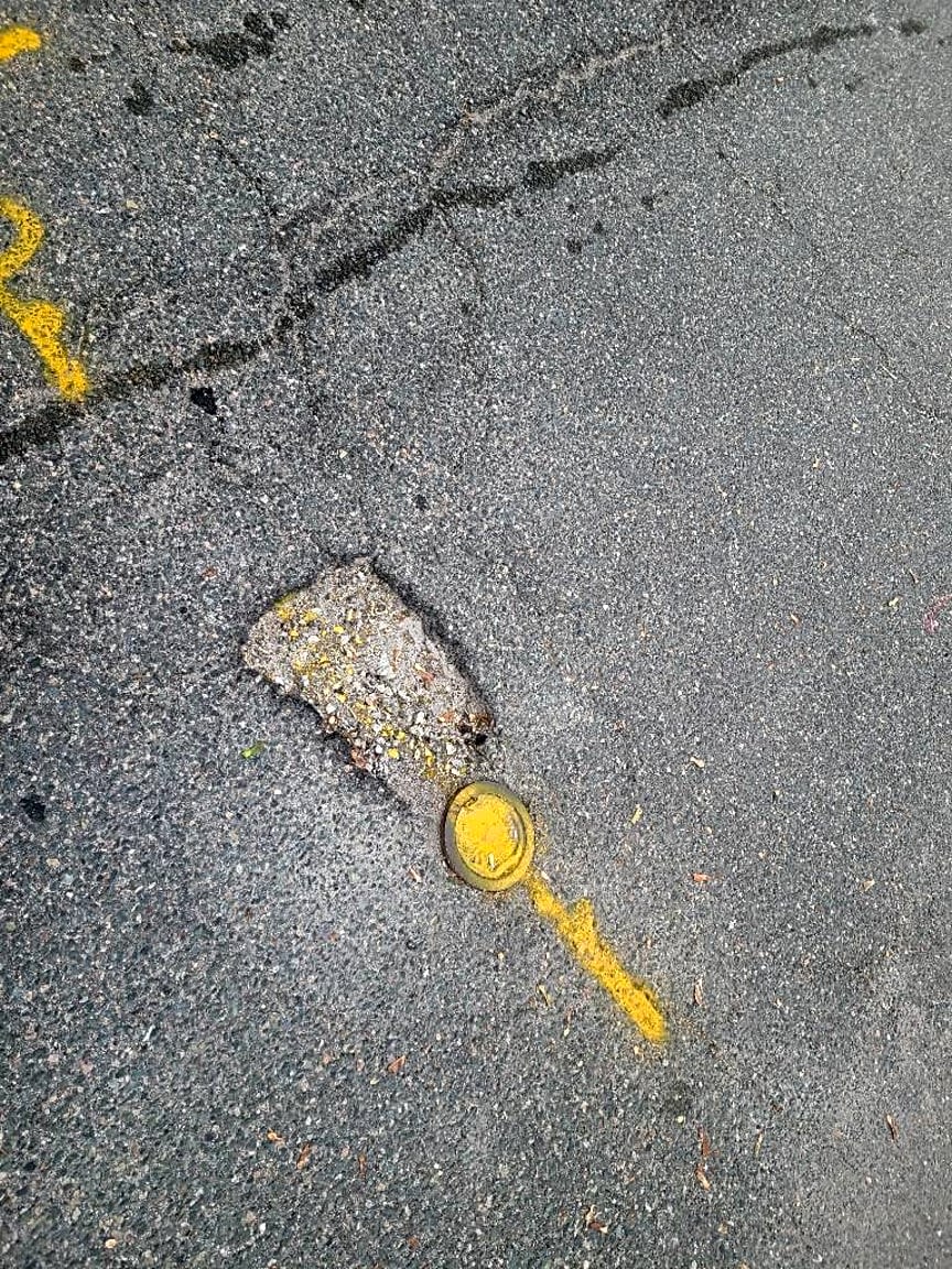 Image submitted with report