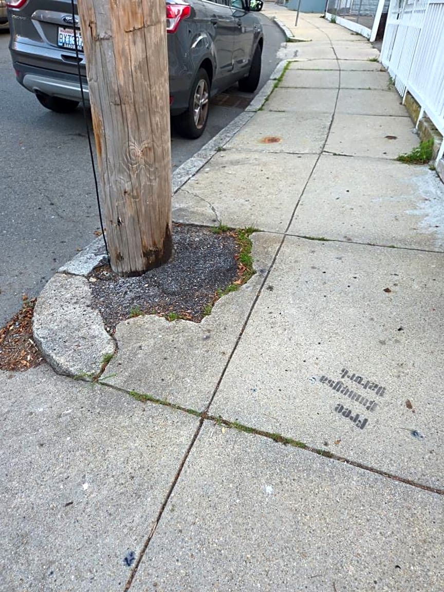 Image submitted with report