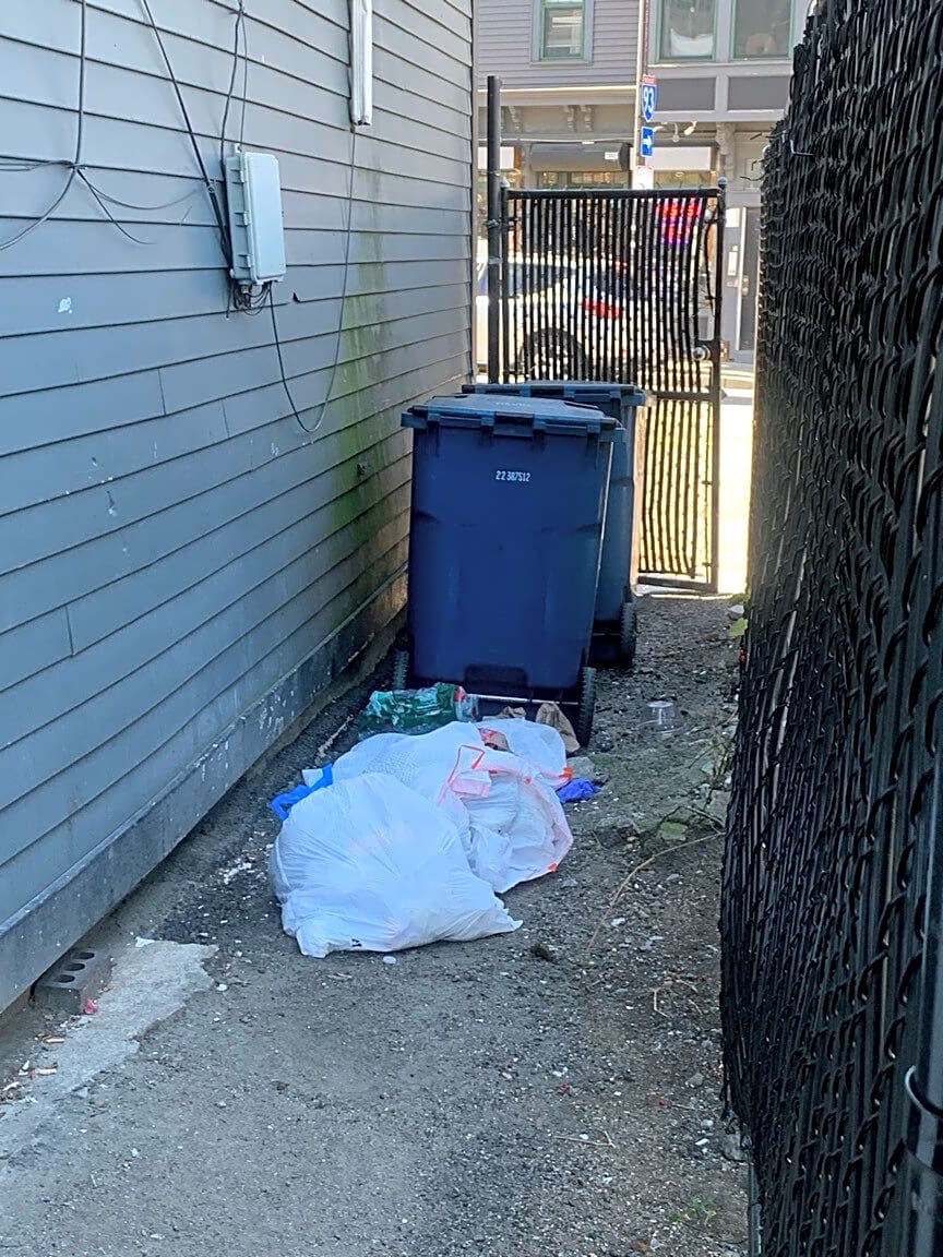 Image submitted with report