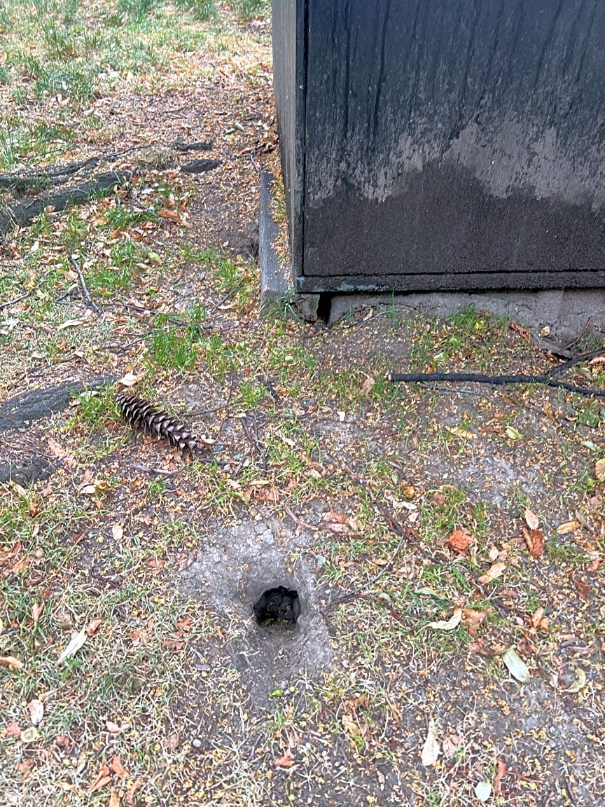 Image submitted with report