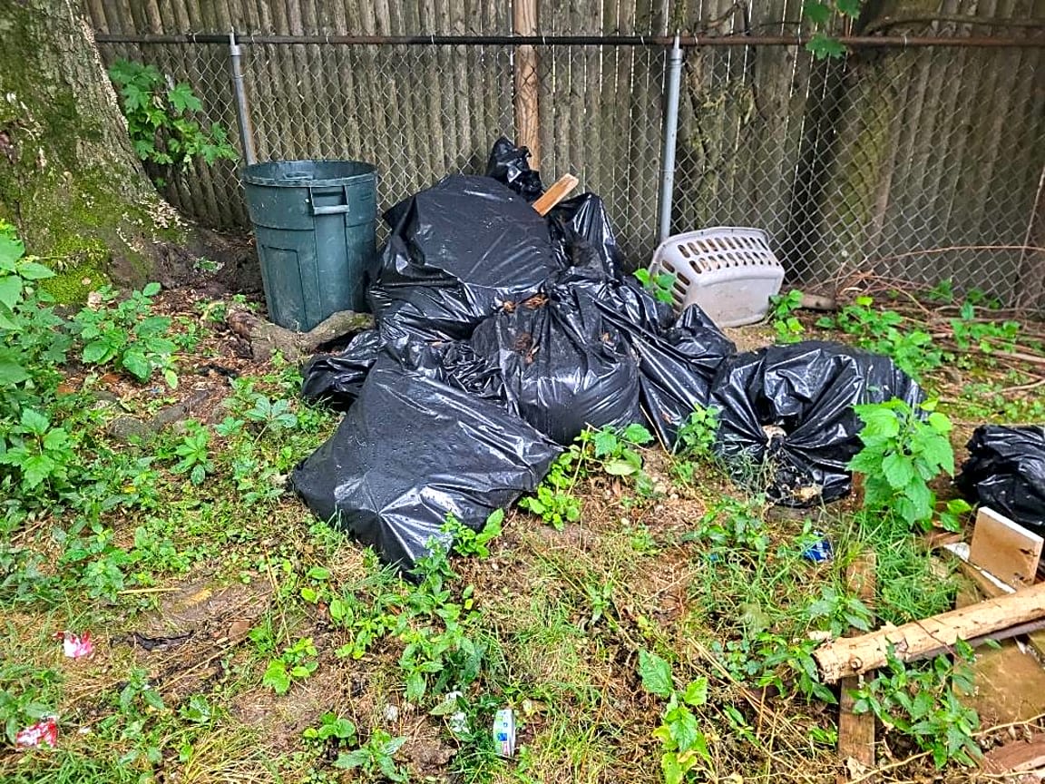 Image submitted with report