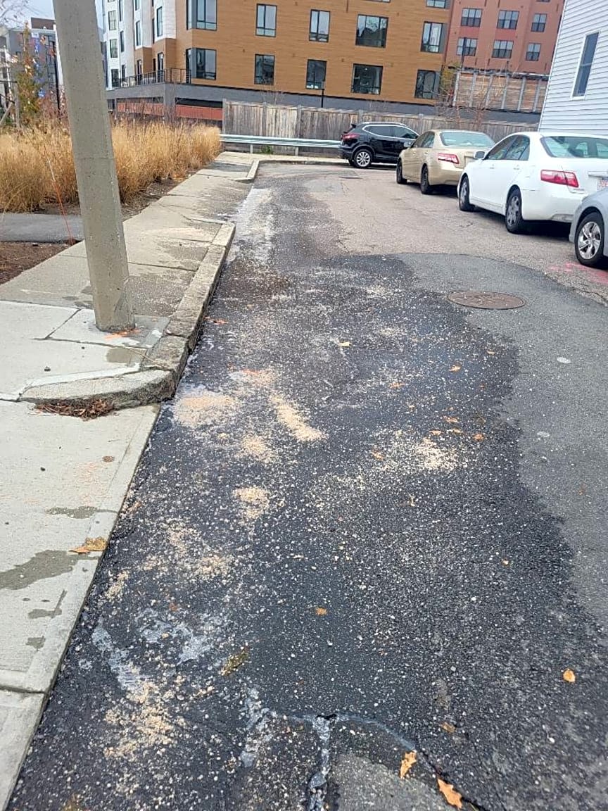 Image submitted with report