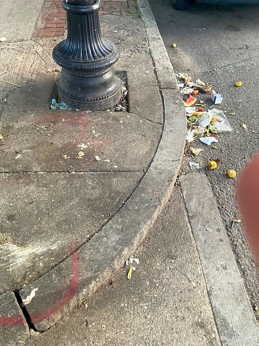 Image submitted with report