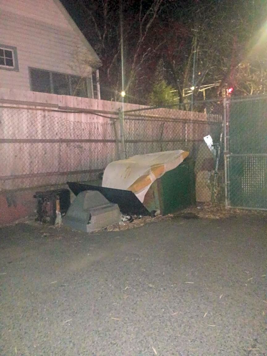 Image submitted with report