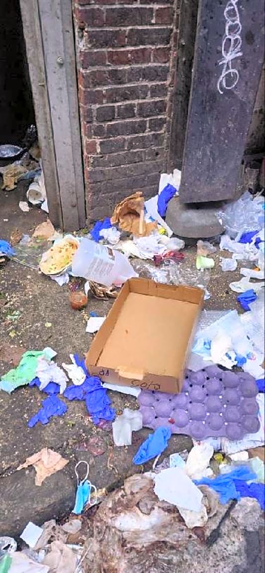 Image submitted with report