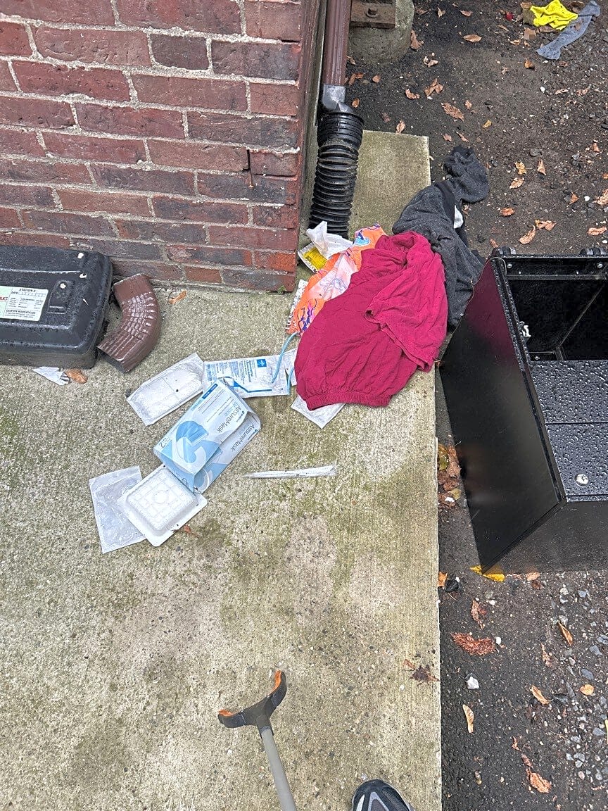 Image submitted with report