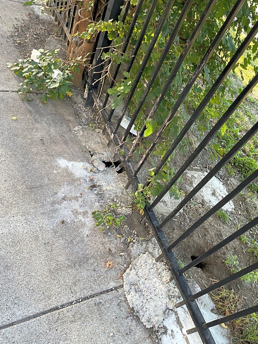Image submitted with report