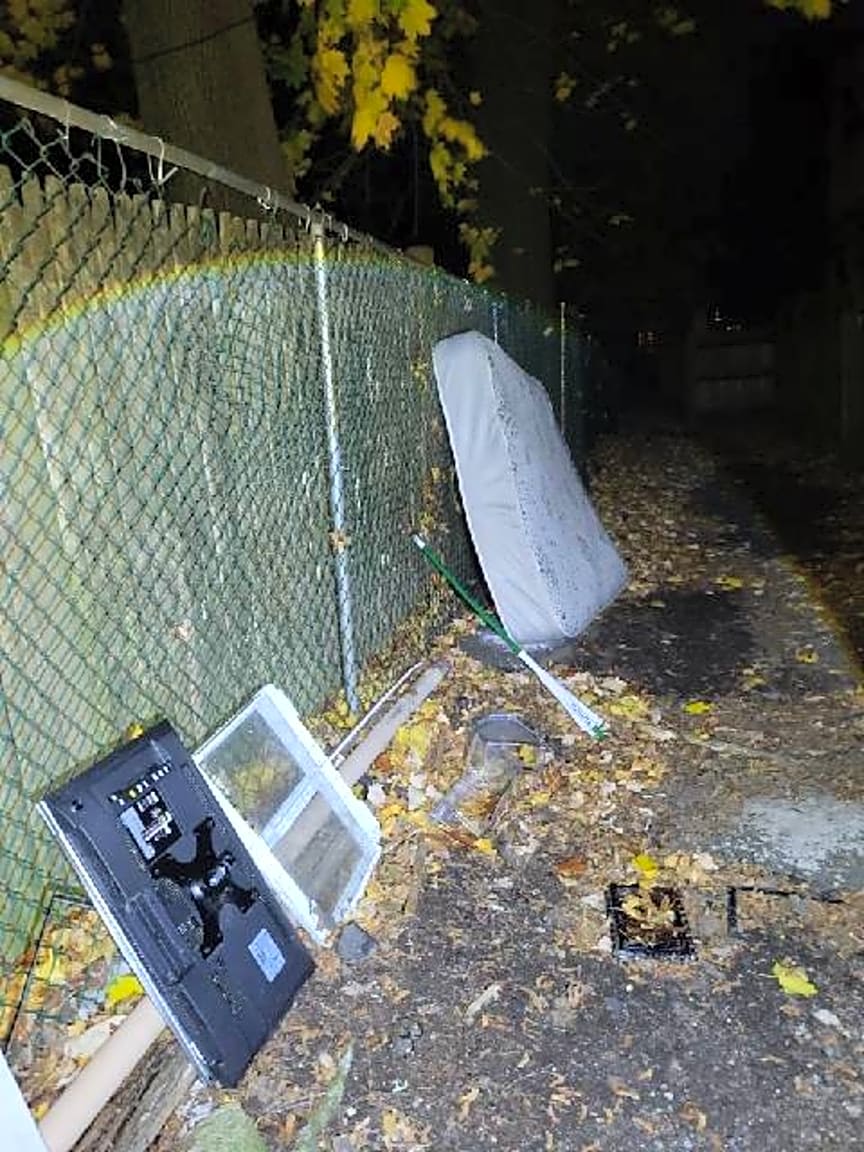 Image submitted with report