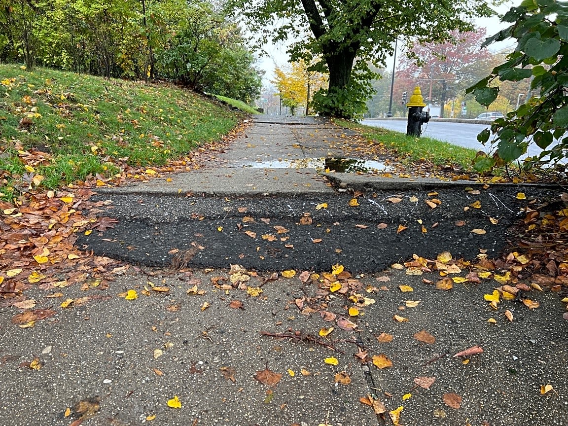 Image submitted with report