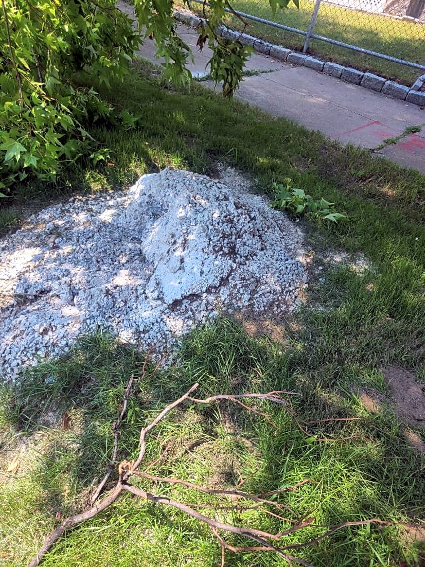 Image submitted with report