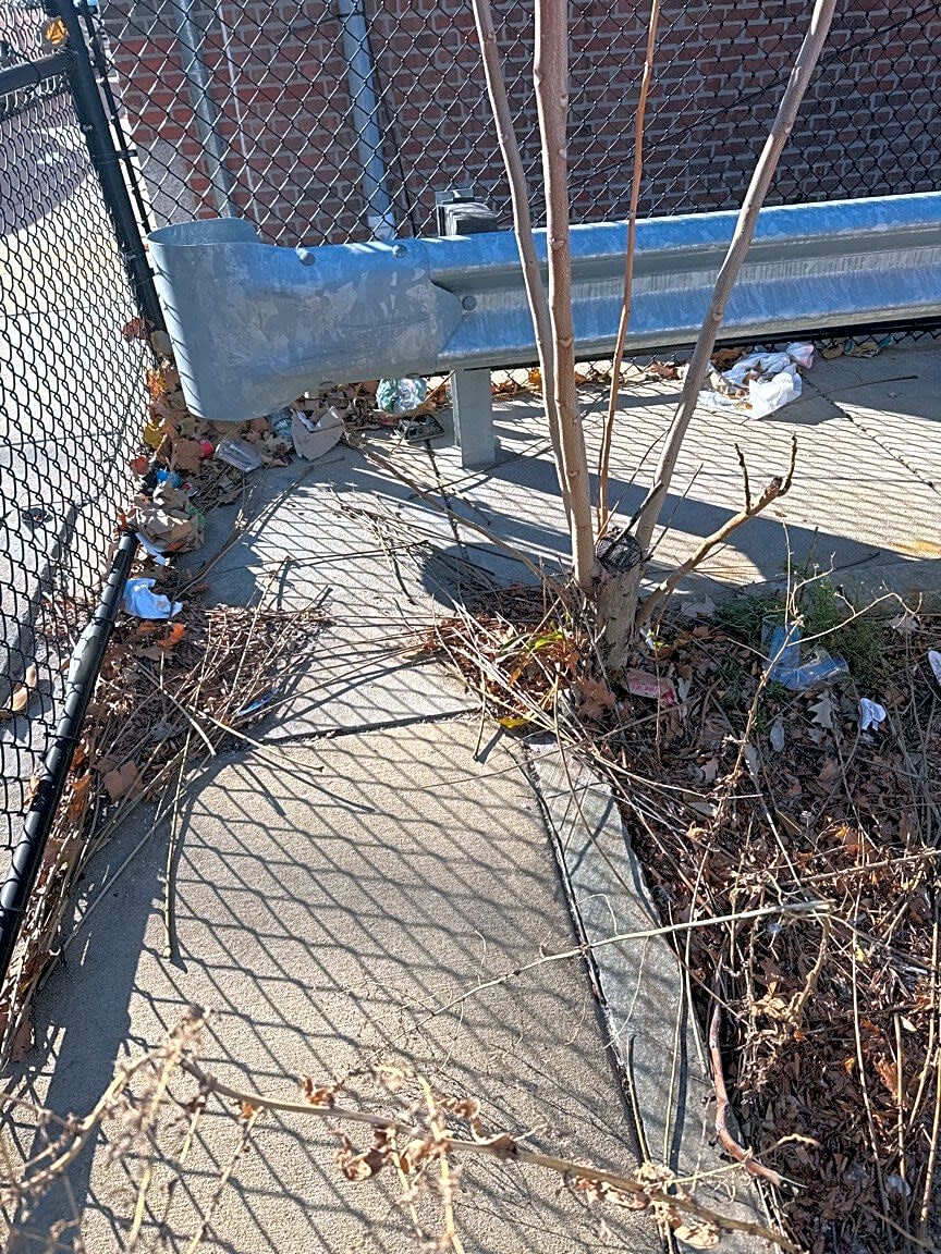 Image submitted with report