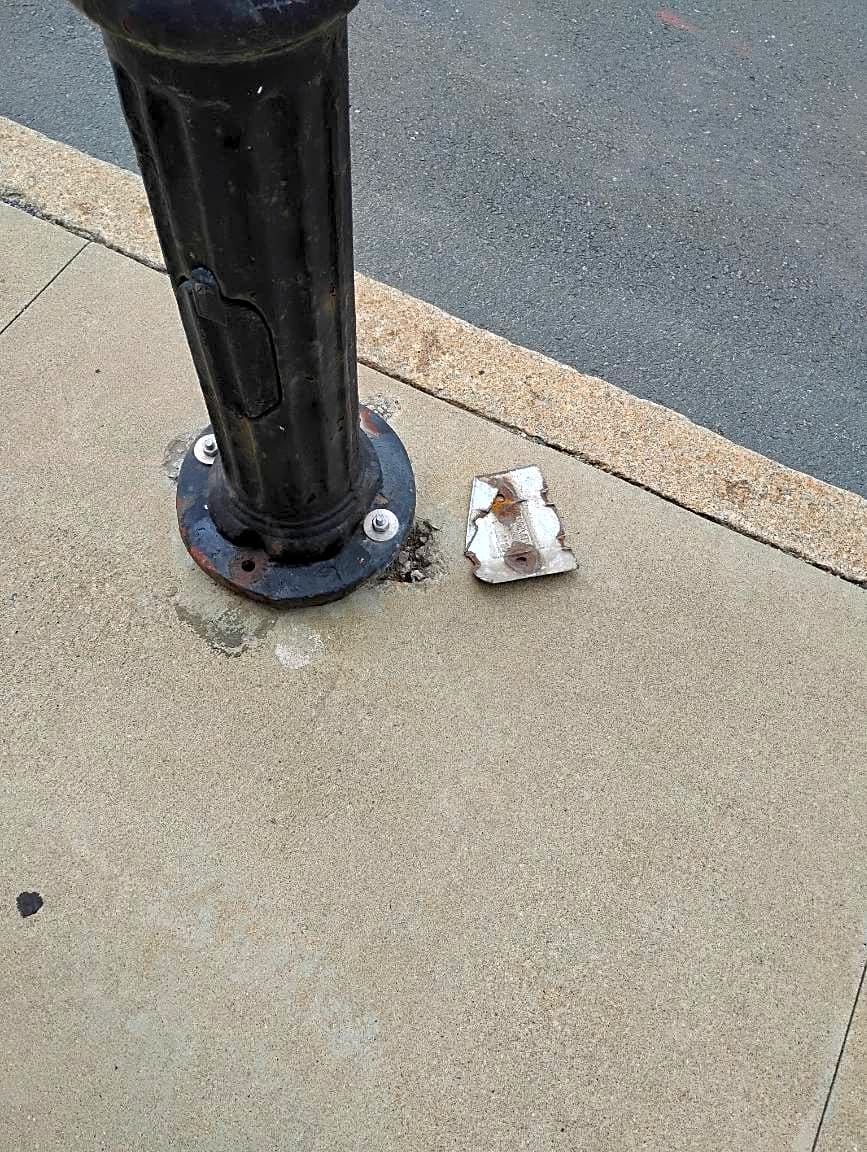 Image submitted with report