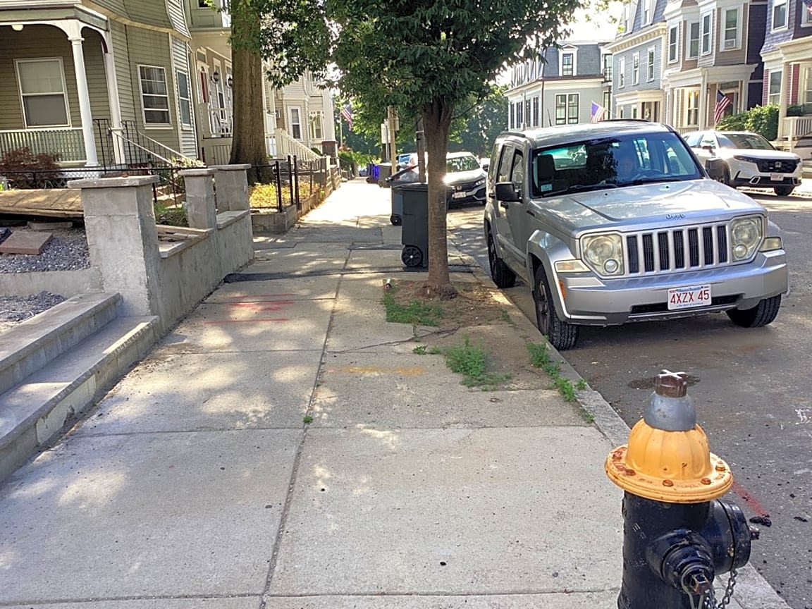 Image submitted with report