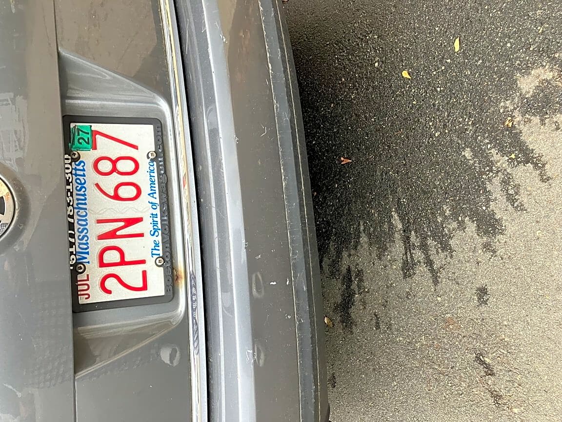 Image submitted with report