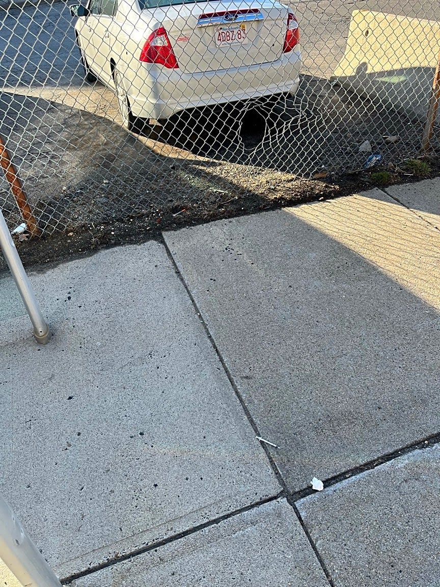Image submitted with report