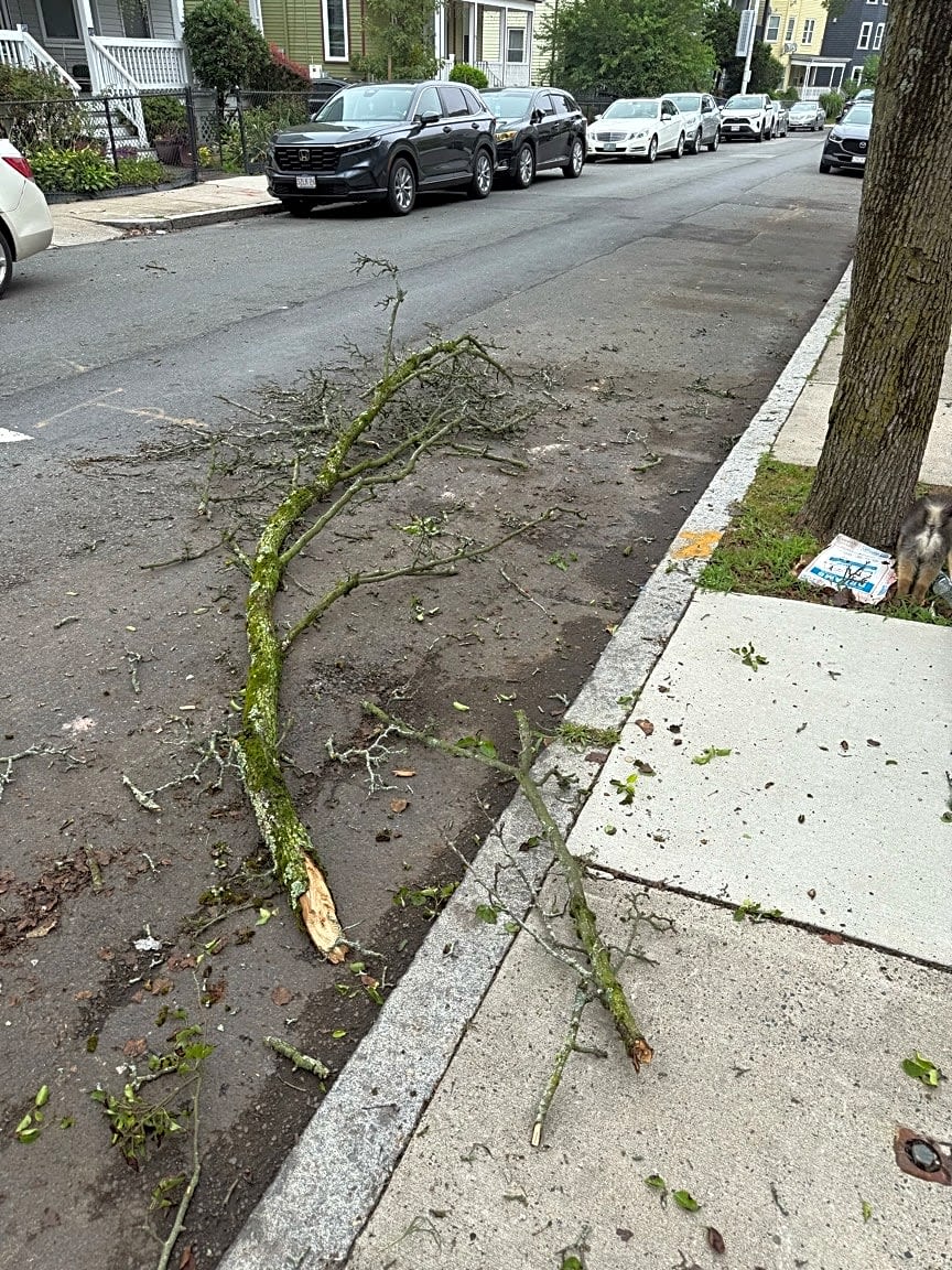 Image submitted with report