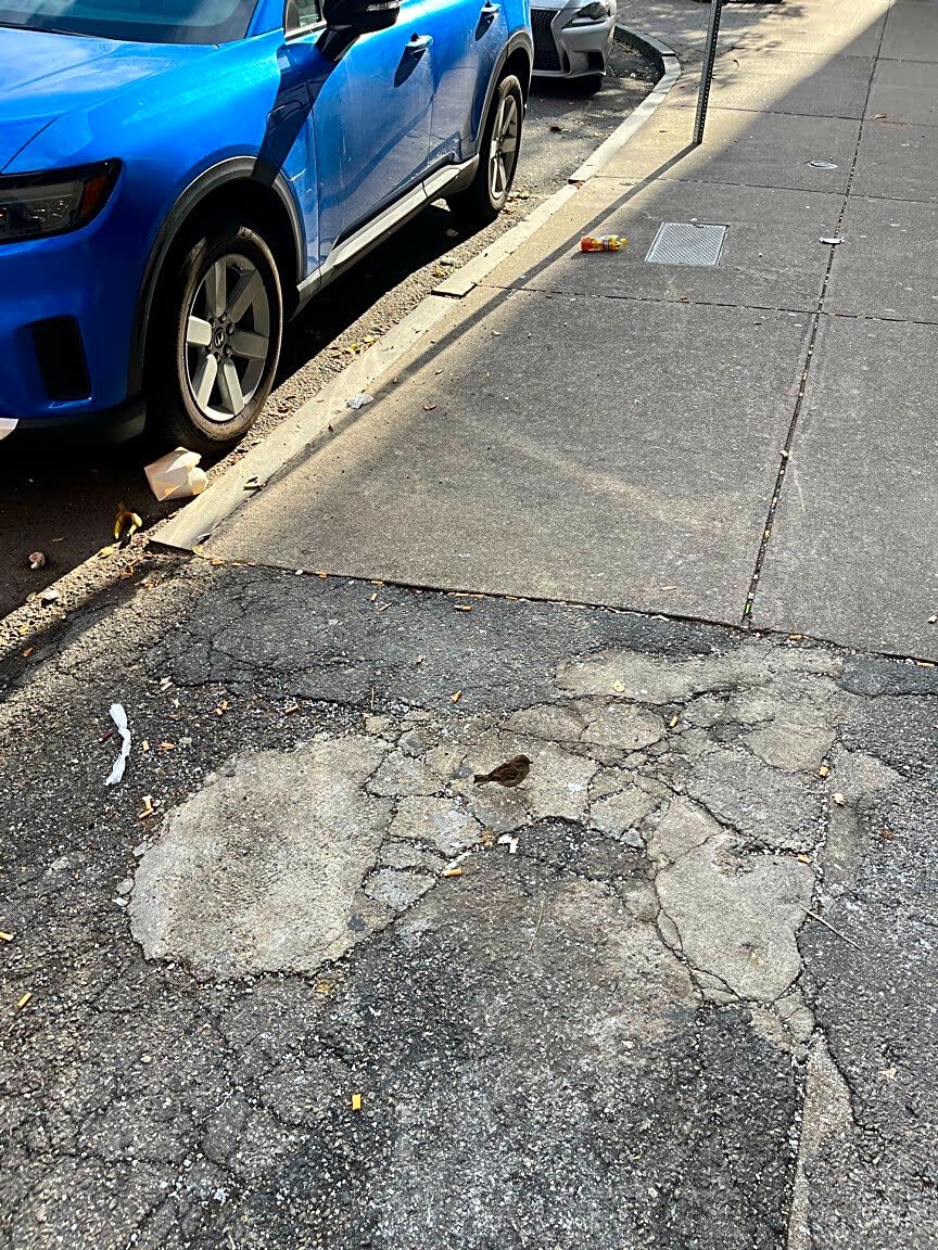 Image submitted with report