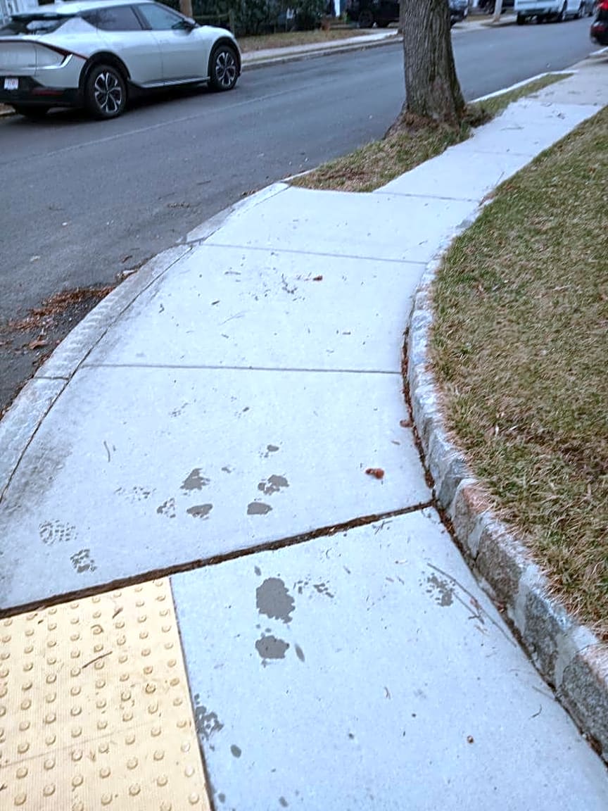 Image submitted with report