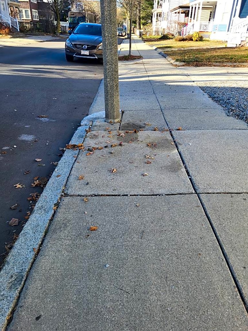 Image submitted with report