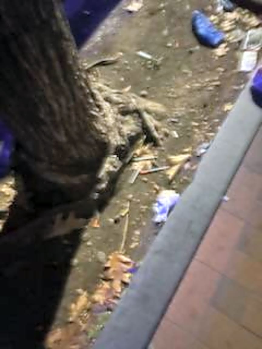 Image submitted with report