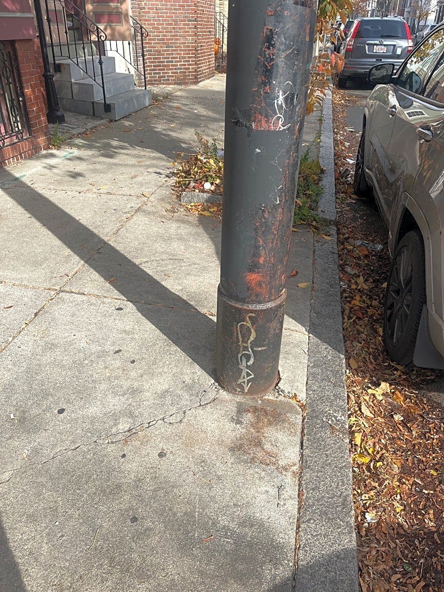 Image submitted with report