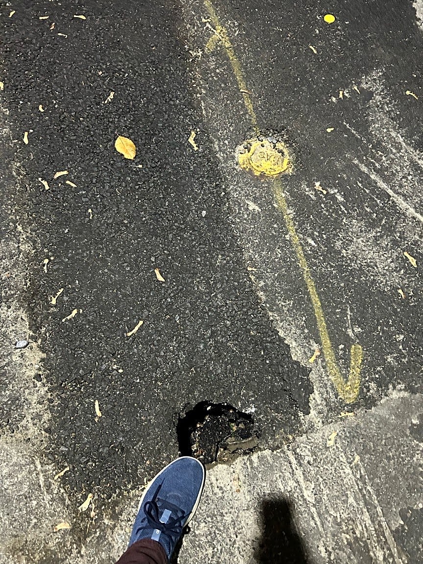 Image submitted with report