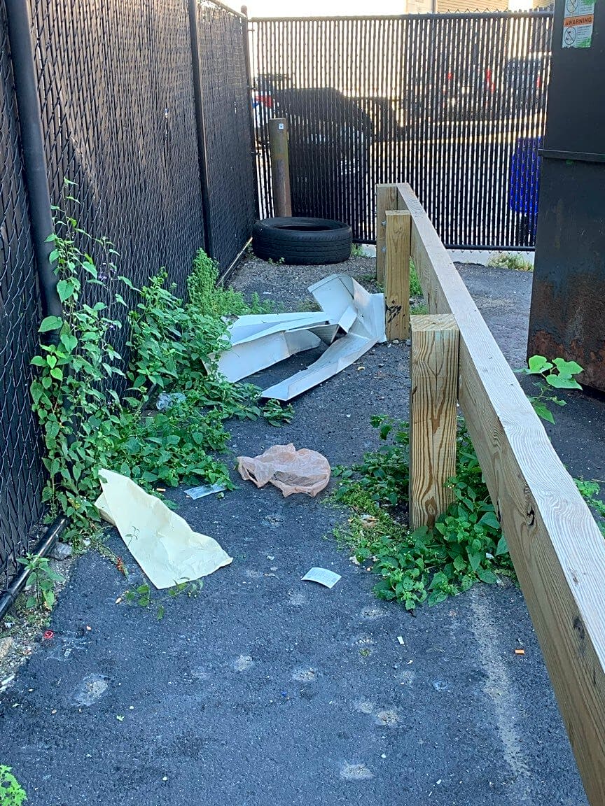 Image submitted with report