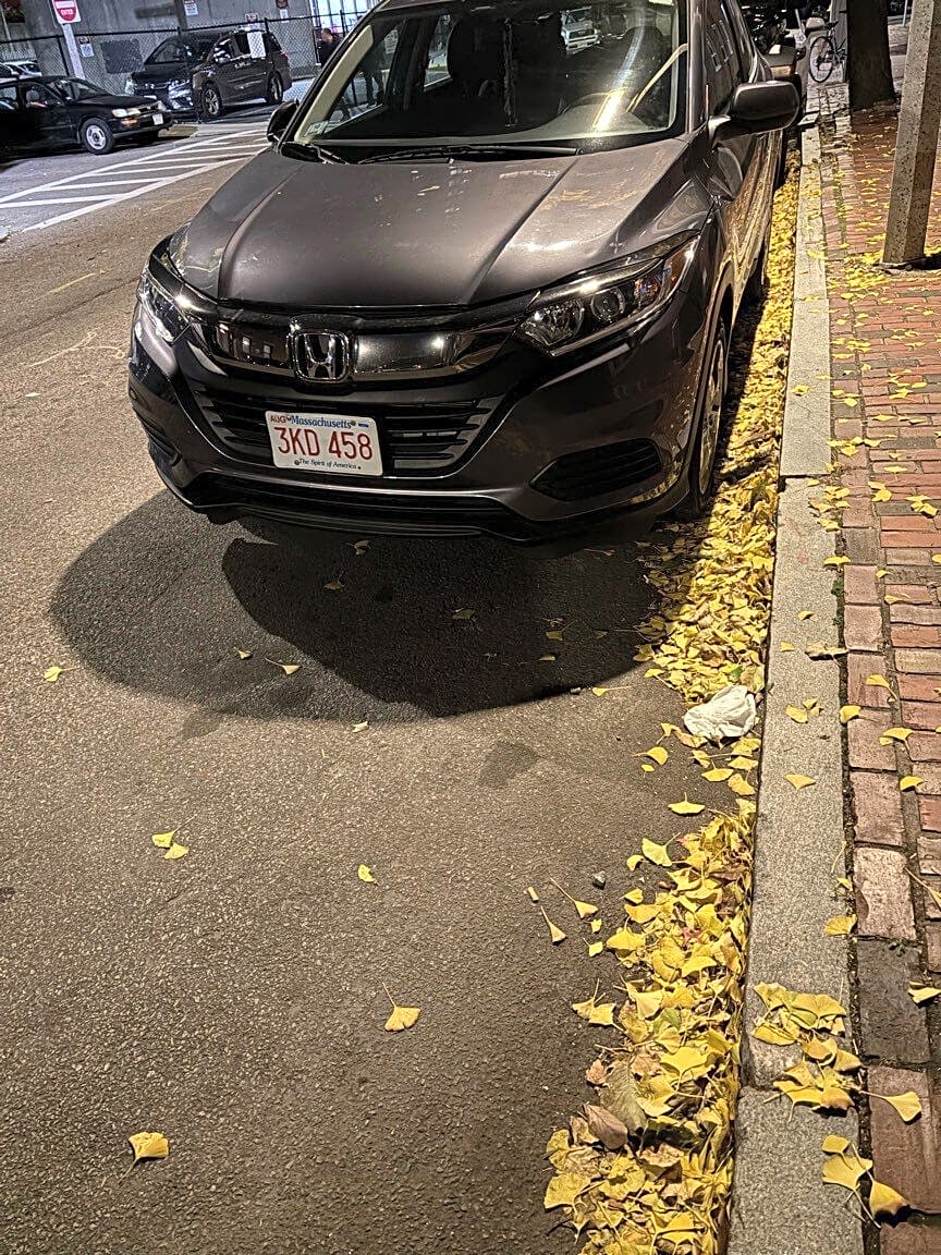 Image submitted with report