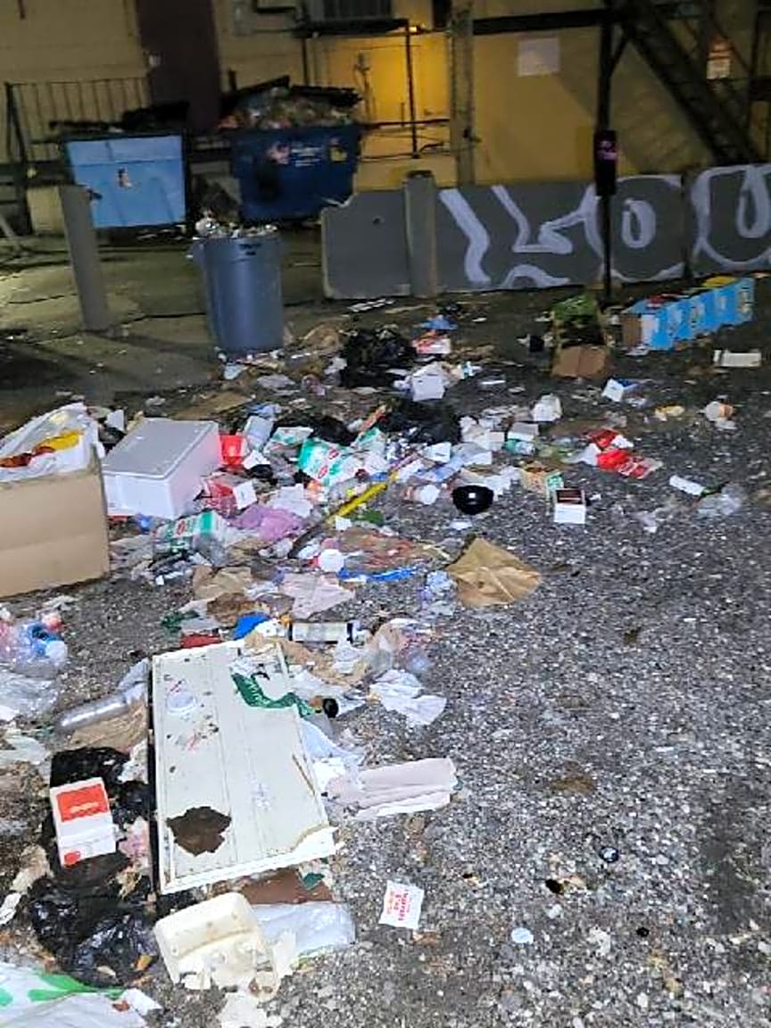 Image submitted with report