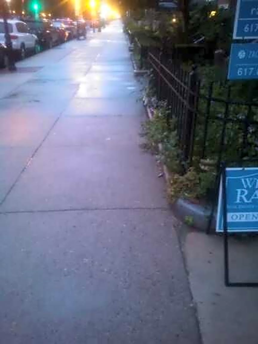 Image submitted with report