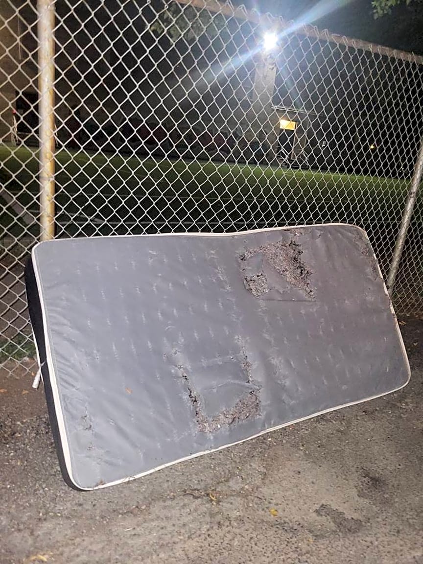 Image submitted with report