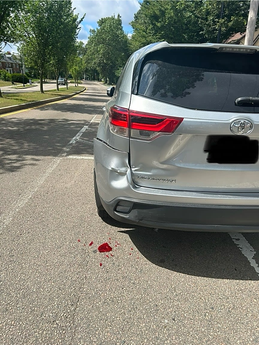 Image submitted with report