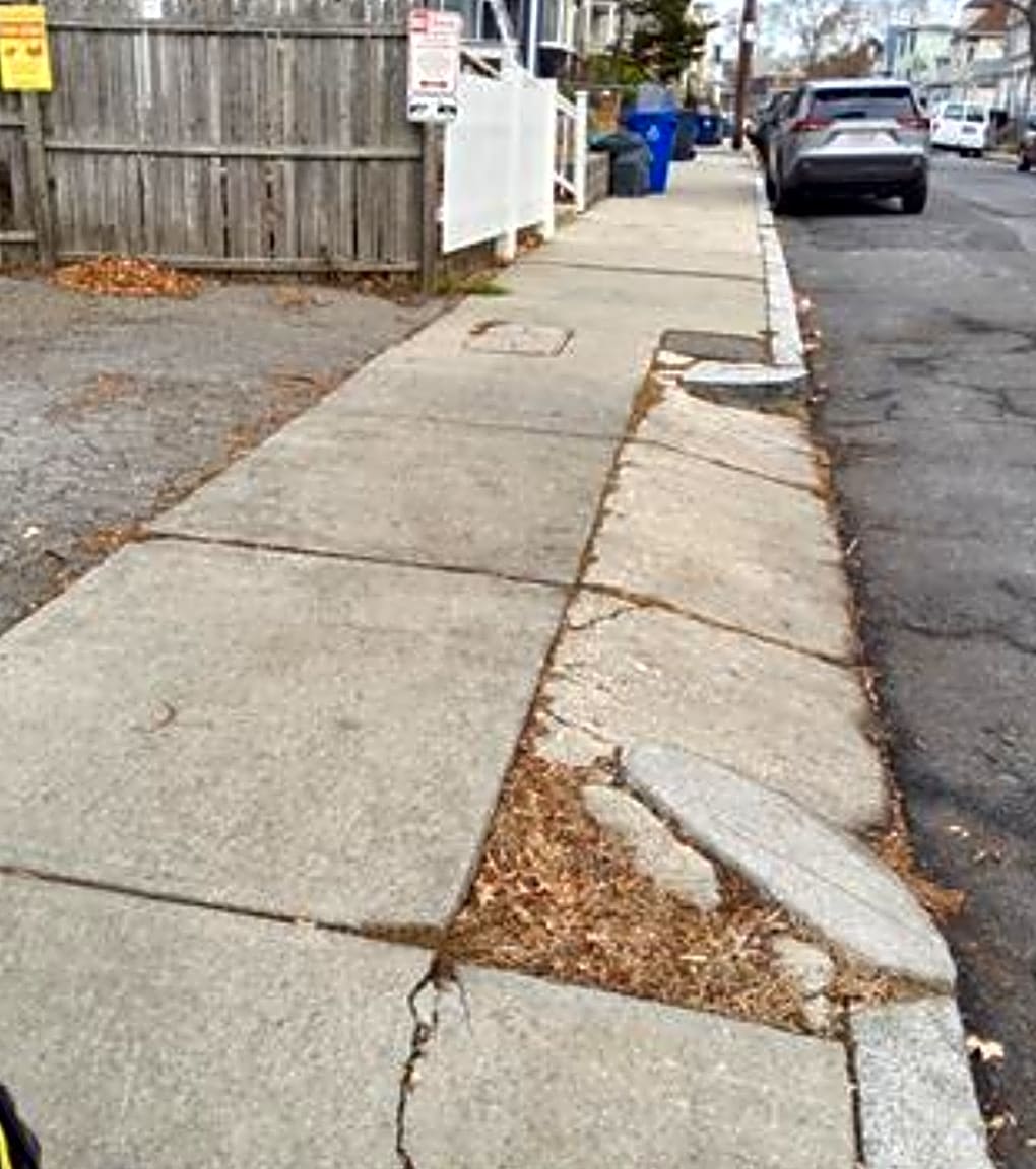 Image submitted with report