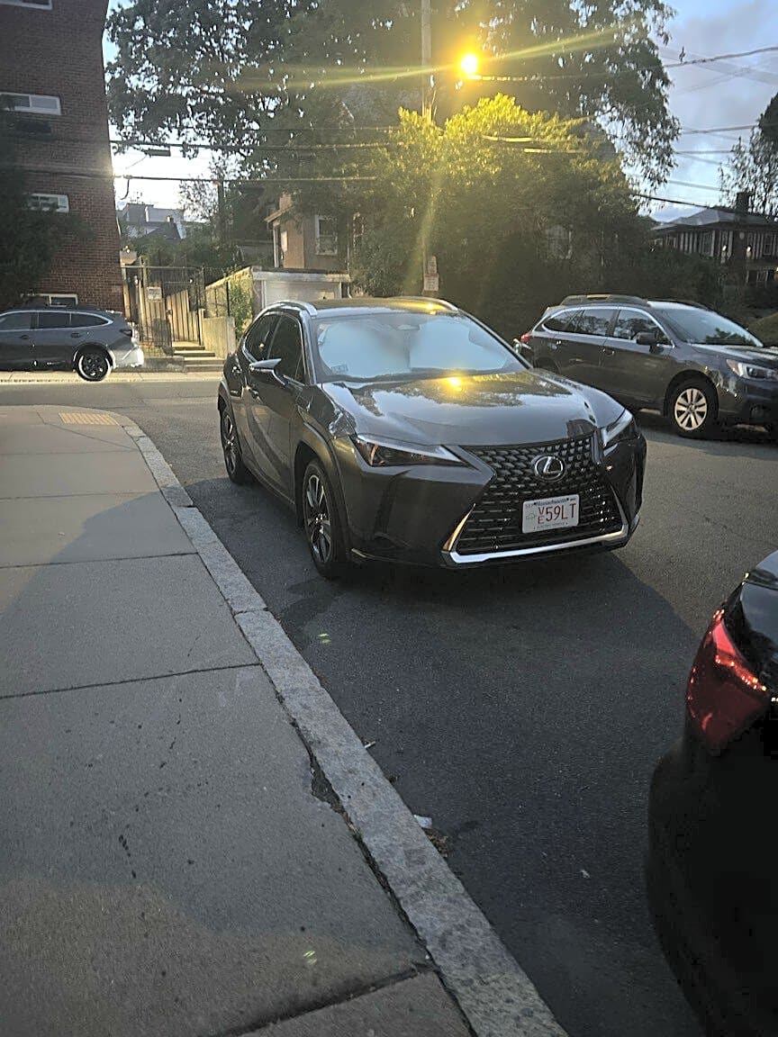 Image submitted with report