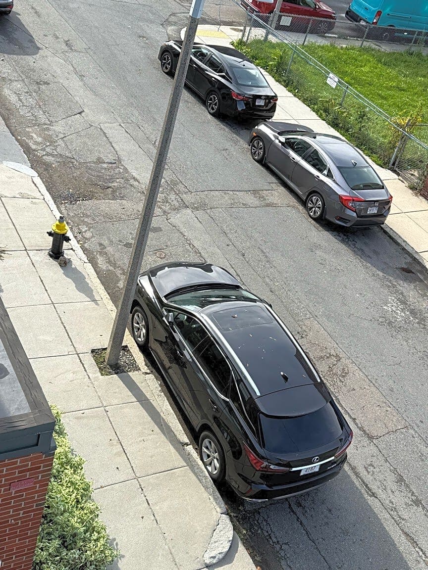 Image submitted with report