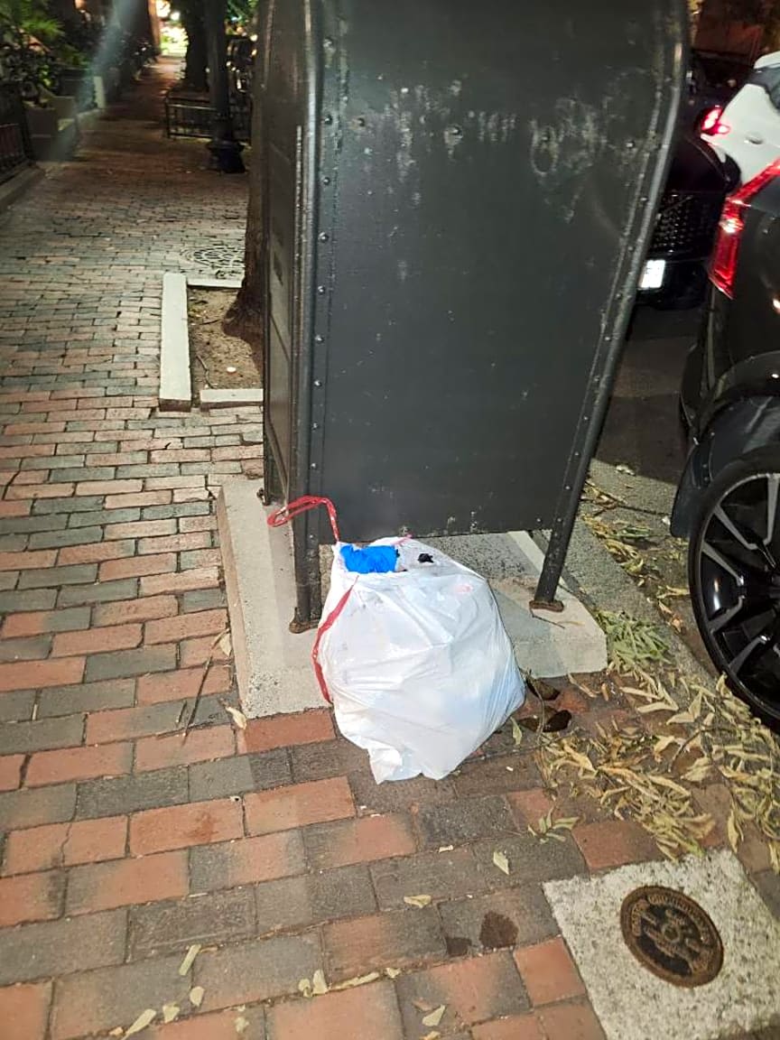 Image submitted with report