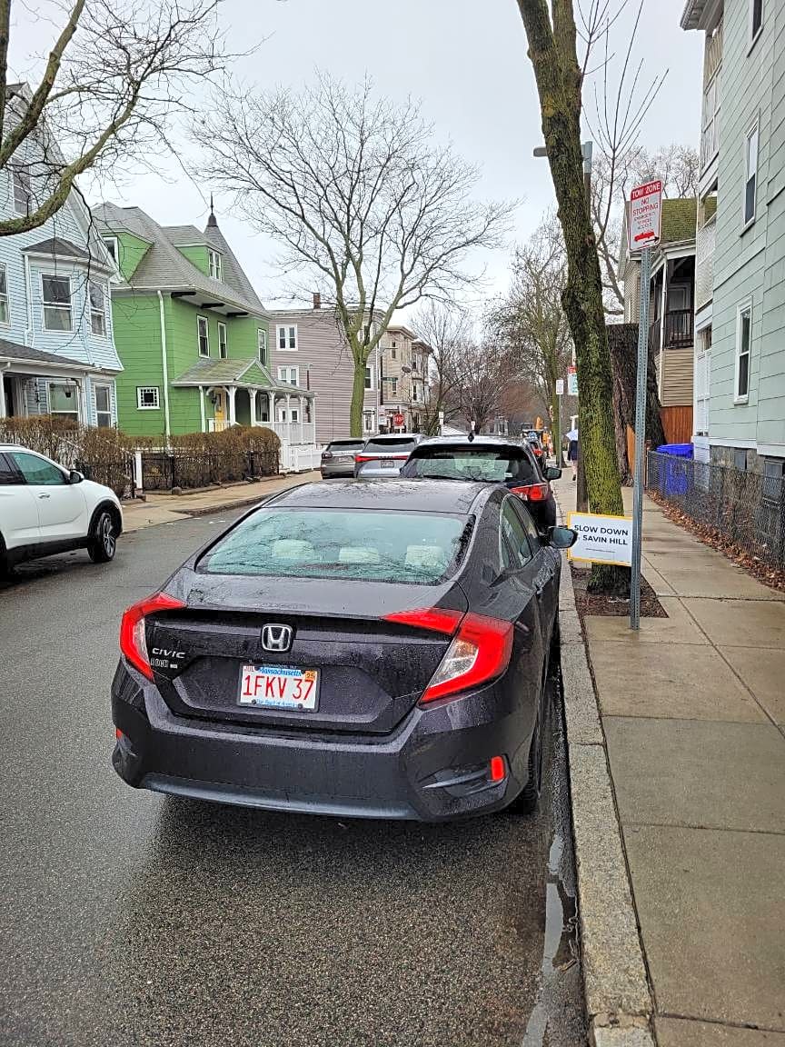 Image submitted with report
