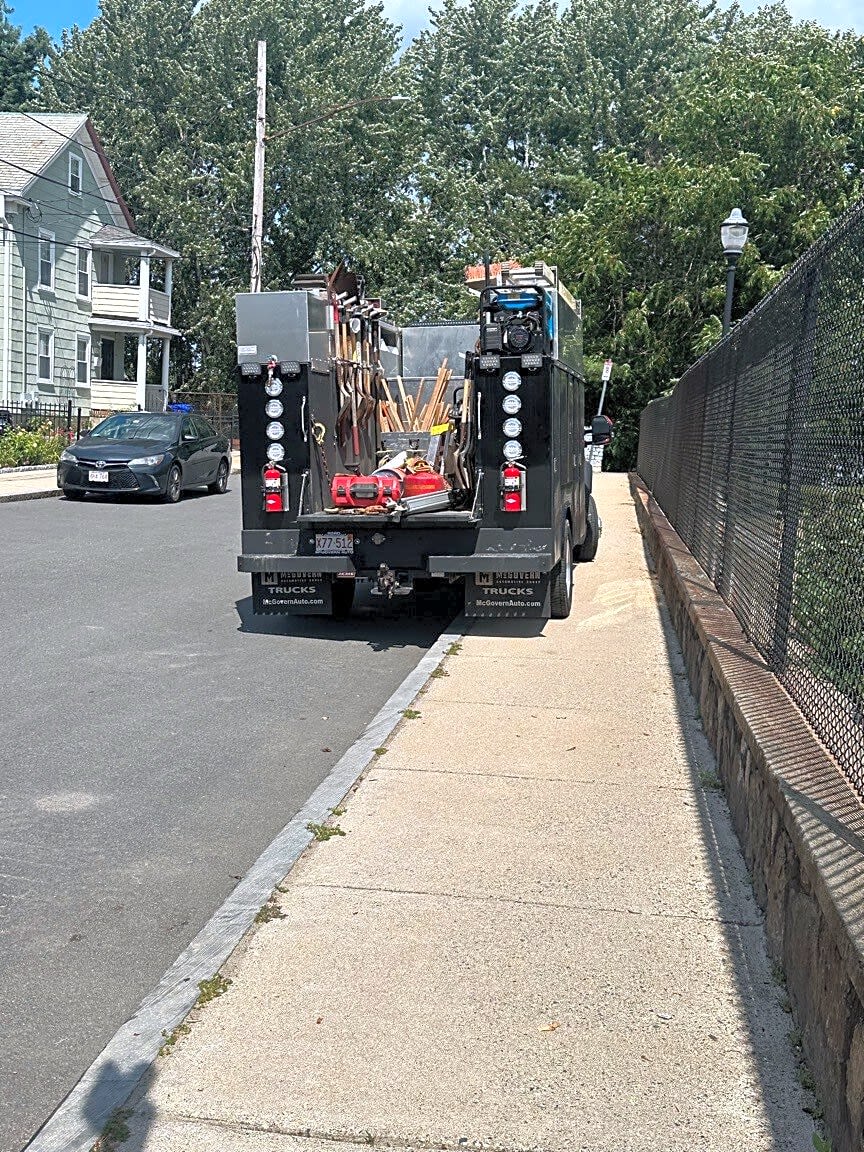 Image submitted with report