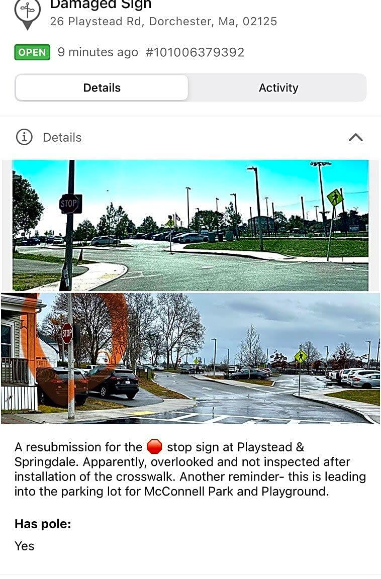 Image submitted with report