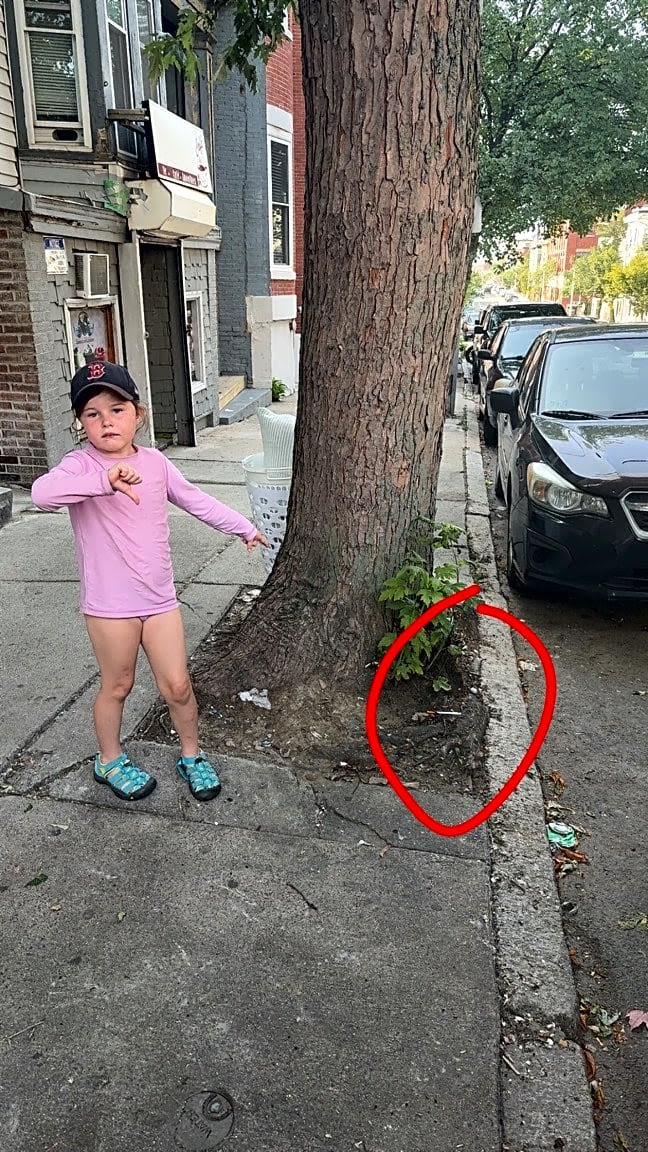 Image submitted with report