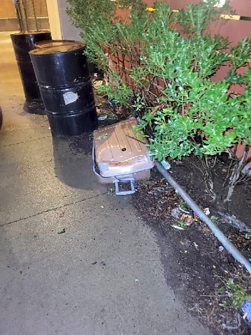 Image submitted with report