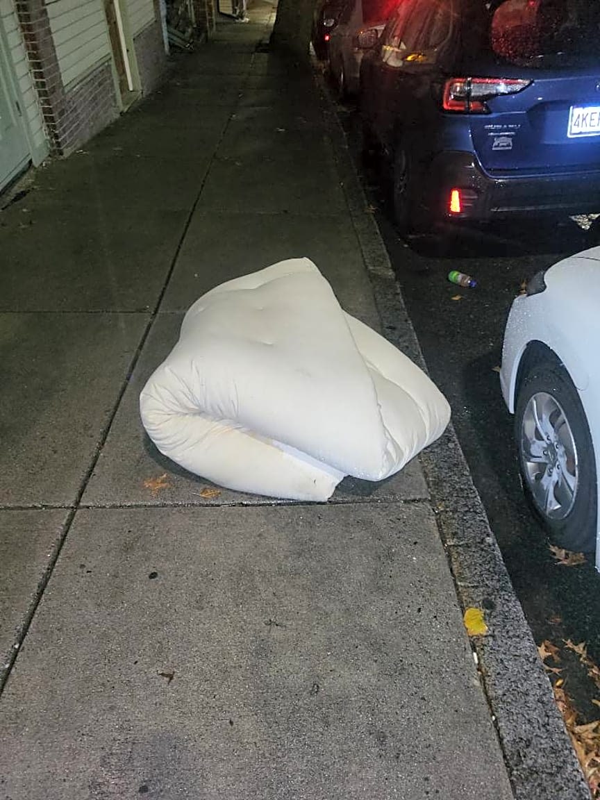 Image submitted with report