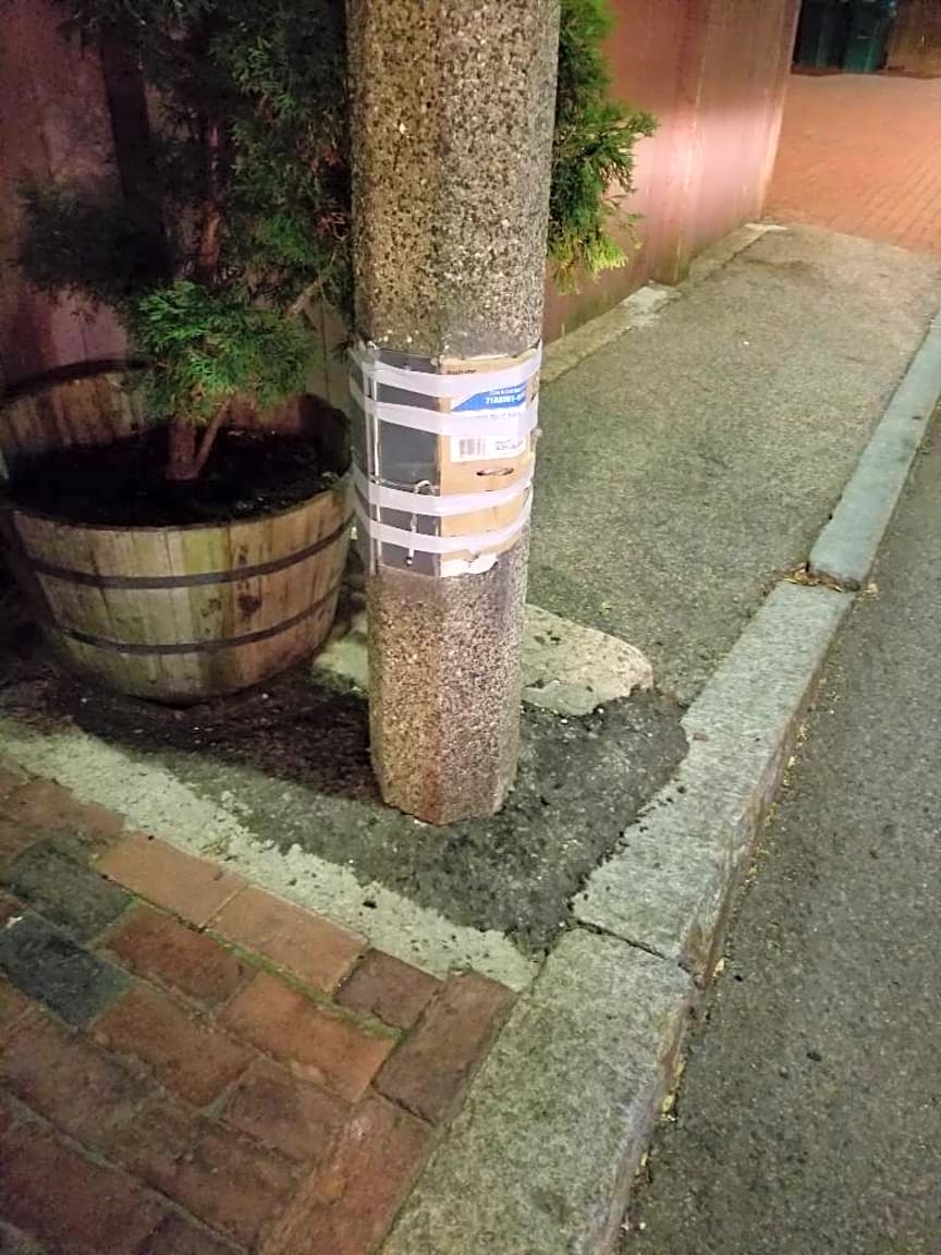 Image submitted with report