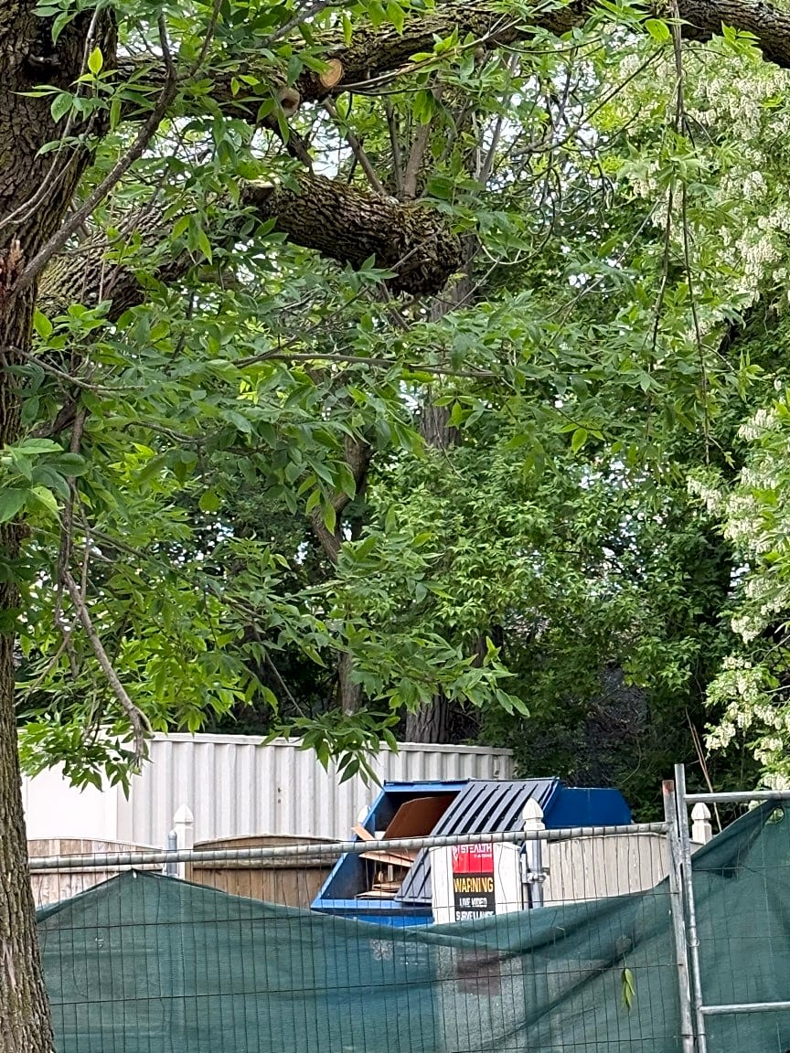 Image submitted with report