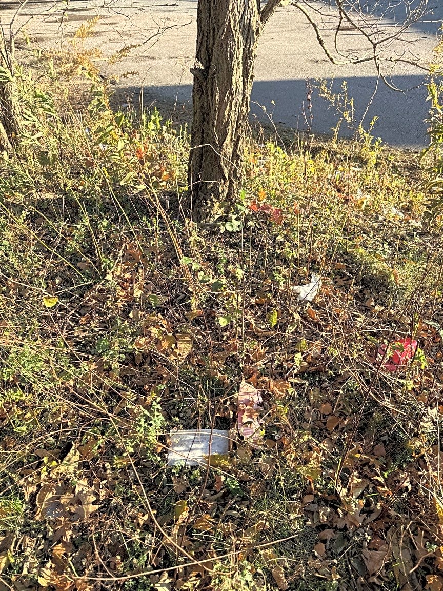 Image submitted with report