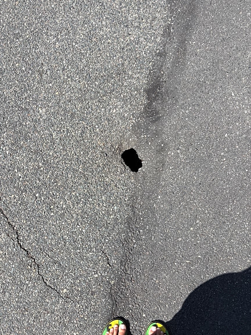 Image submitted with report