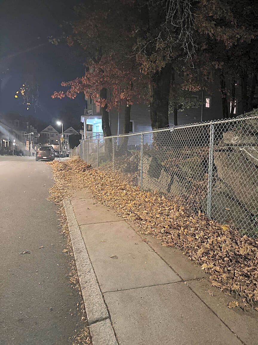 Image submitted with report